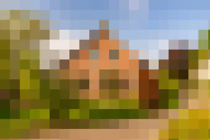 Eerbeekseweg 41 A Loenen thumbnail 4
