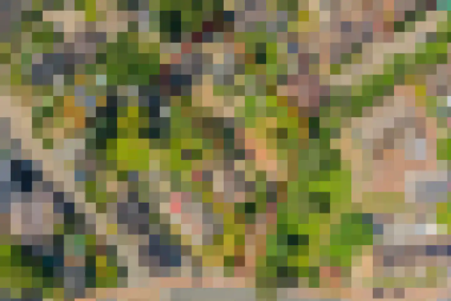 Eerbeekseweg 42 Loenen thumbnail 4