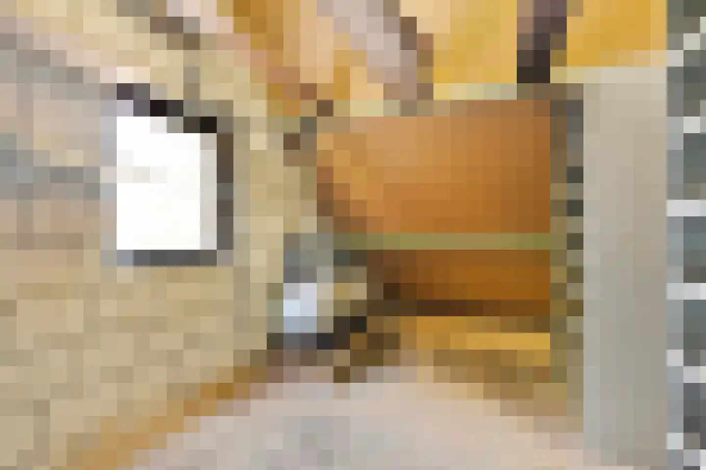 Eerbeekseweg 42 Loenen thumbnail 41