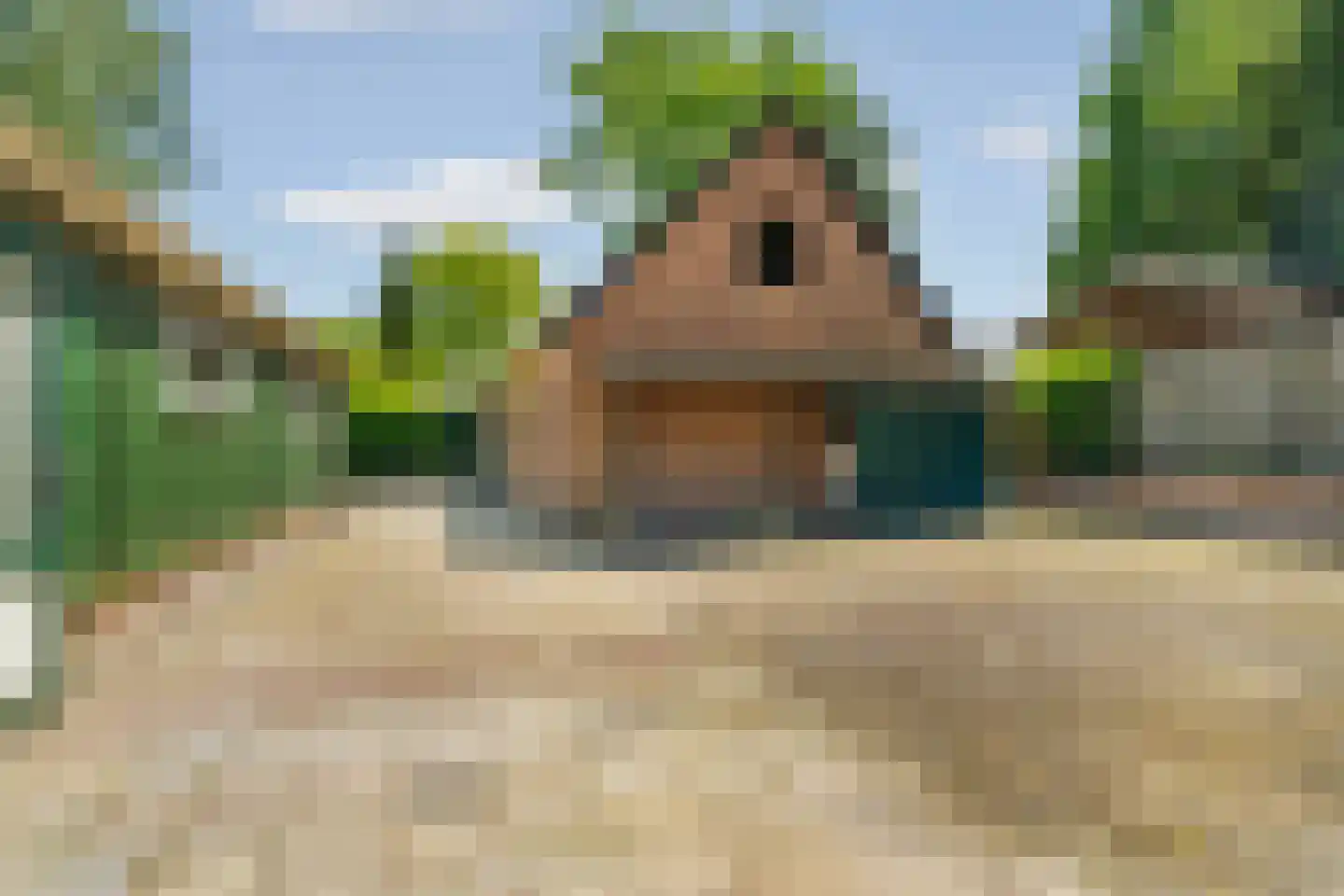 Eerbeekseweg 42 Loenen thumbnail 42