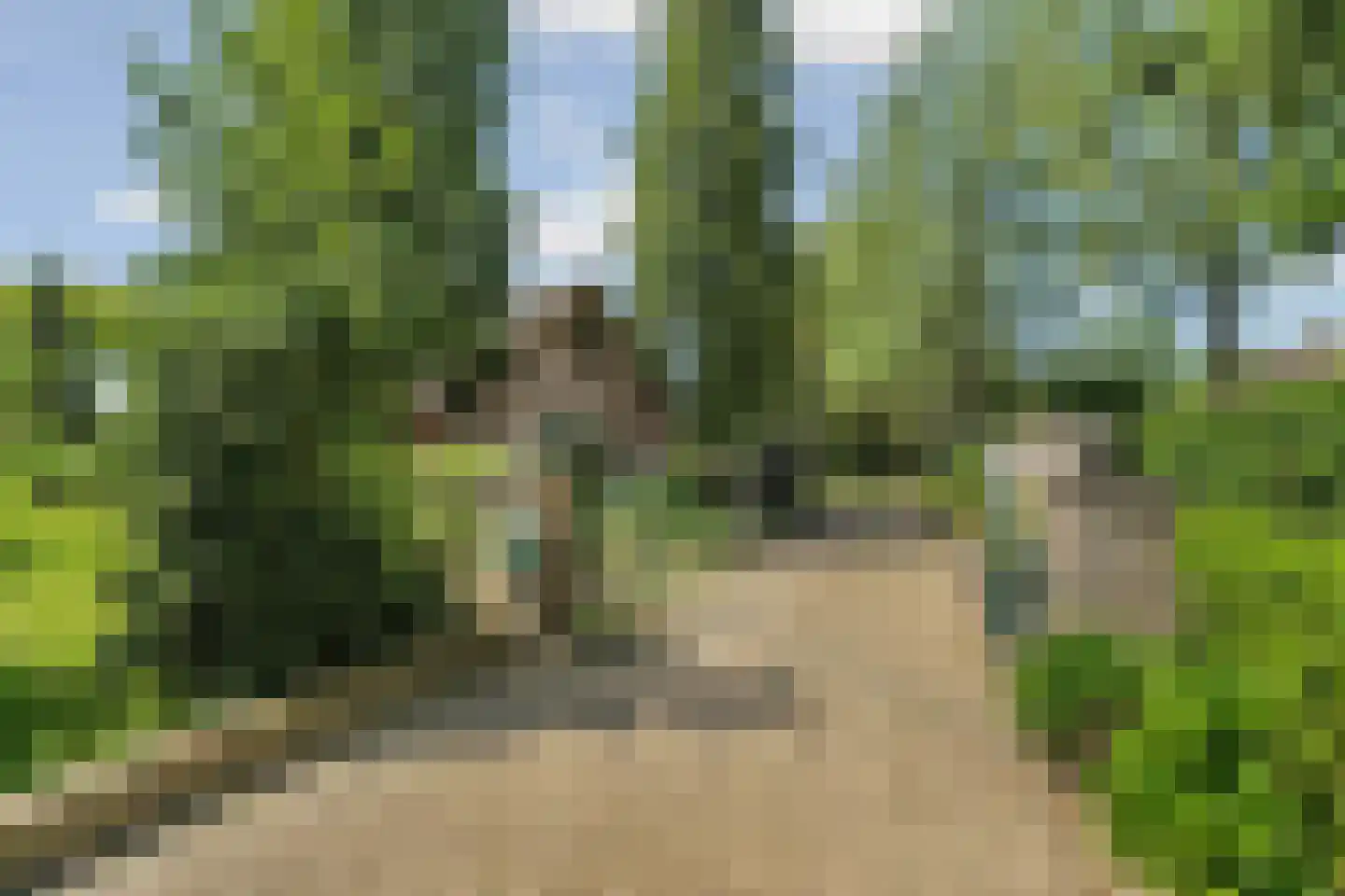 Eerbeekseweg 42 Loenen thumbnail 5