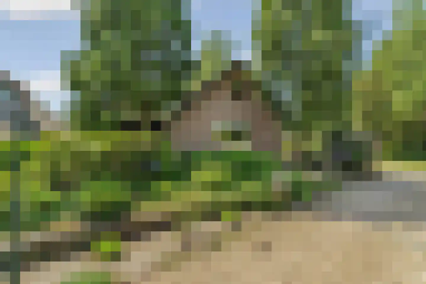 Eerbeekseweg 42 Loenen thumbnail 50