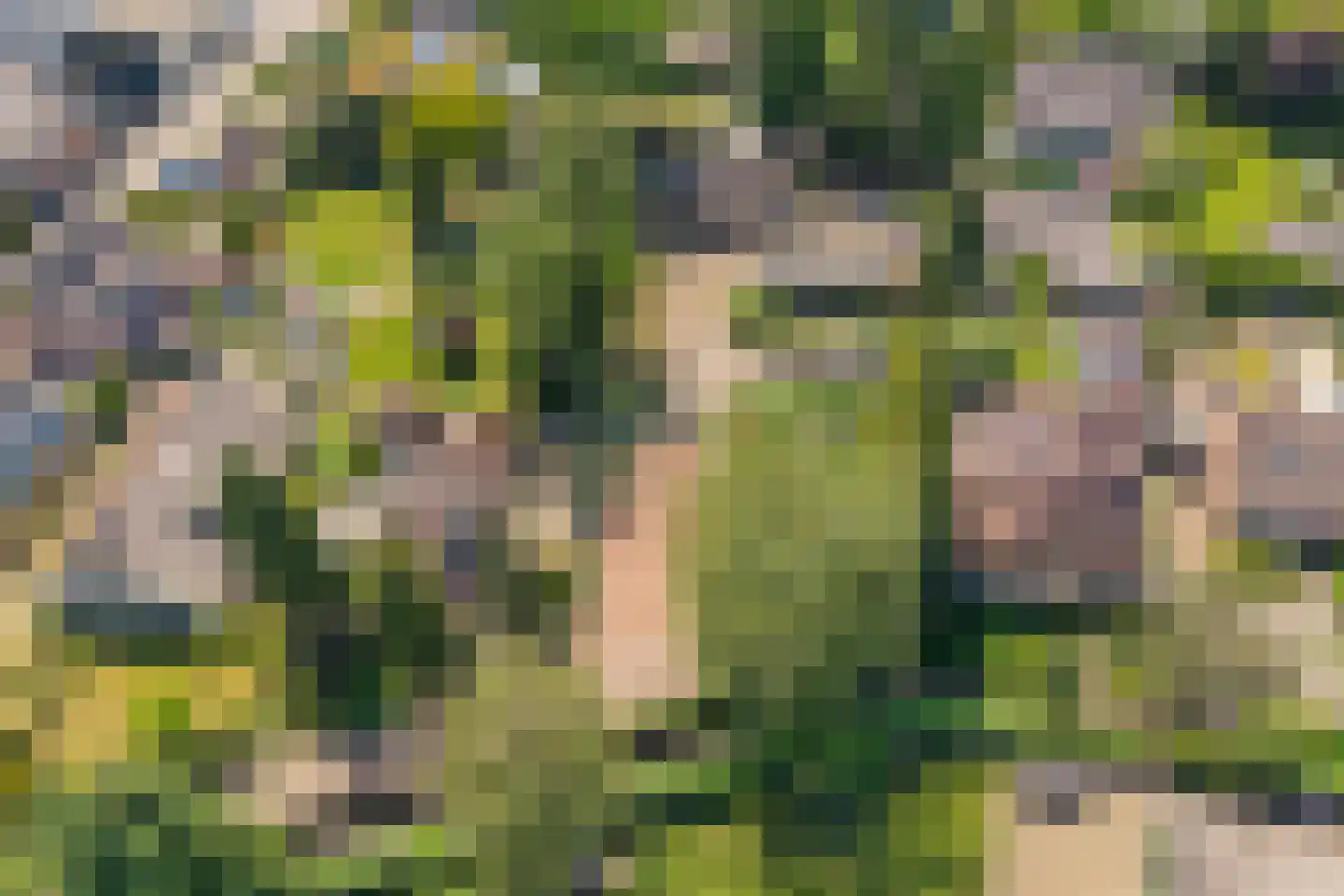 Eerbeekseweg 42 Loenen thumbnail 52