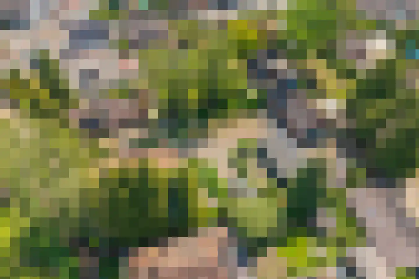 Eerbeekseweg 42 Loenen thumbnail 53
