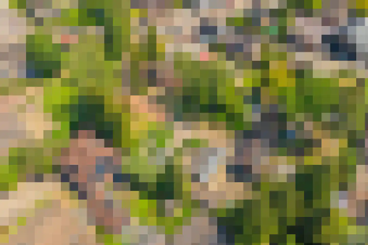 Eerbeekseweg 42 Loenen thumbnail 54