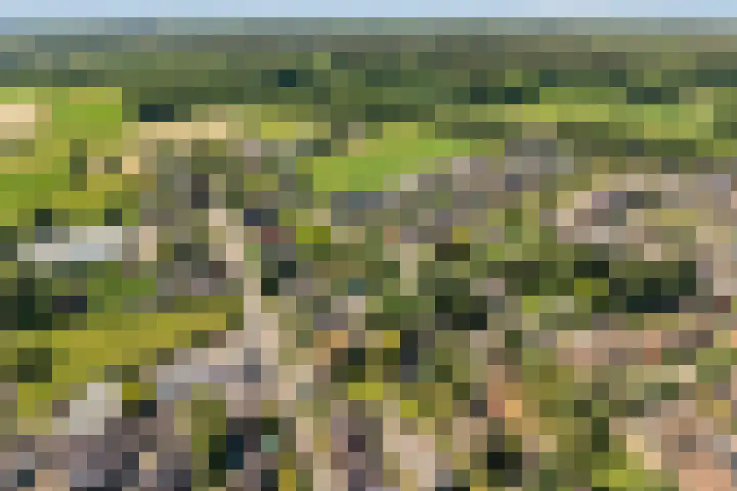 Eerbeekseweg 42 Loenen thumbnail 55