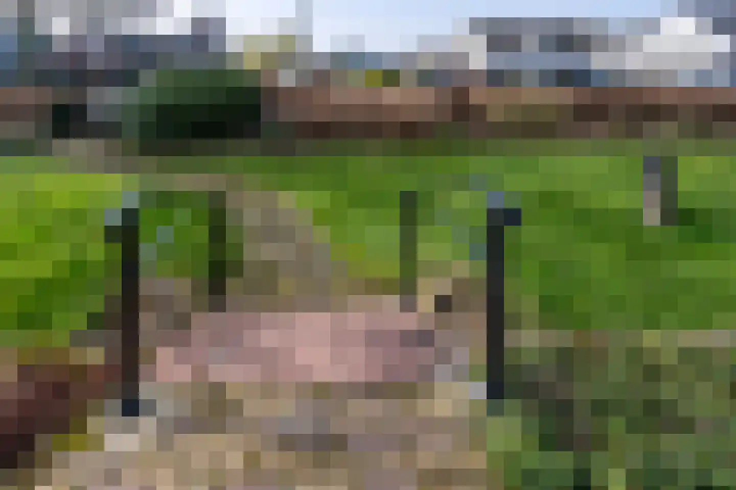 Eerbeekseweg 53 Loenen thumbnail 44