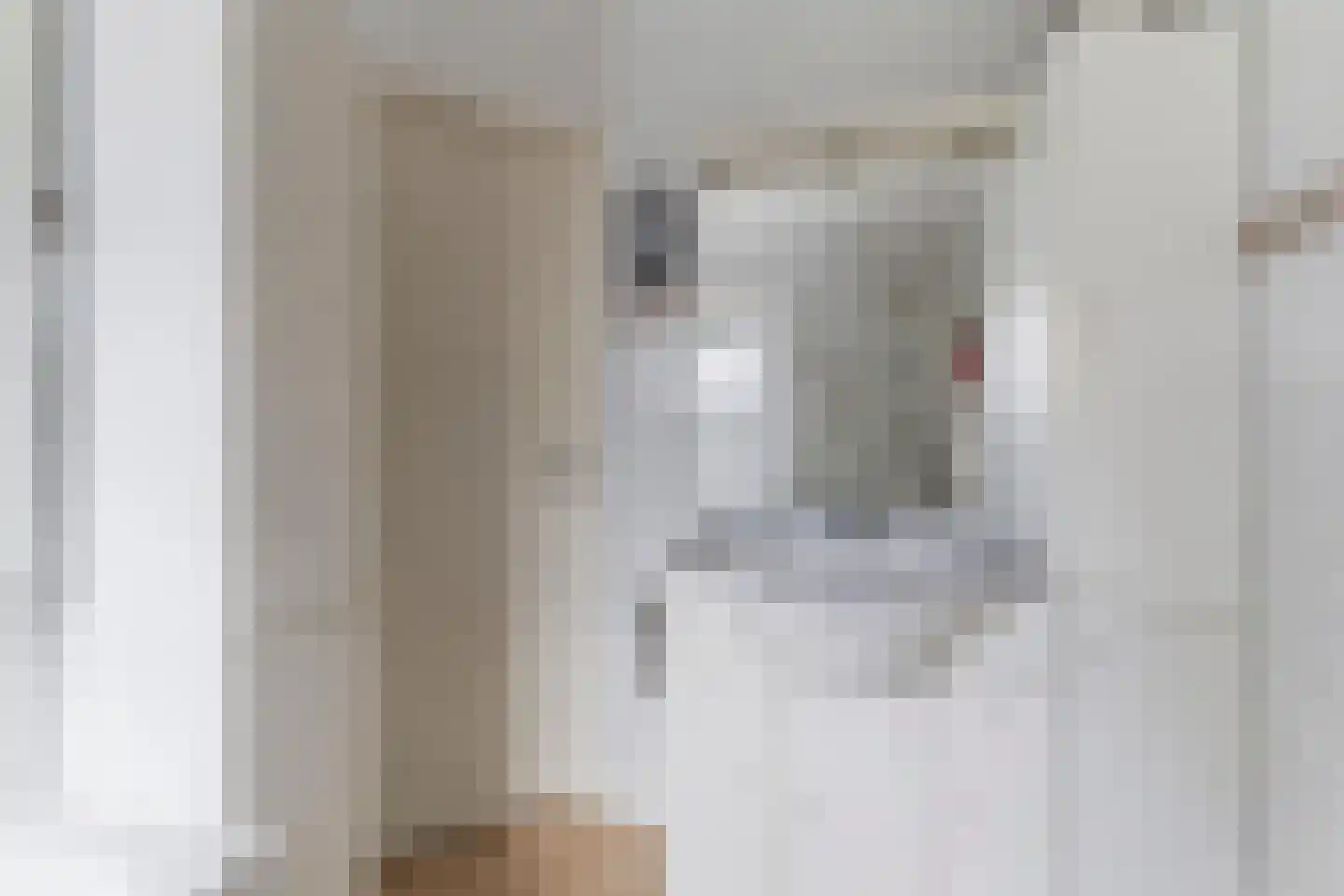 Eerbeekseweg 9 Brummen thumbnail 17