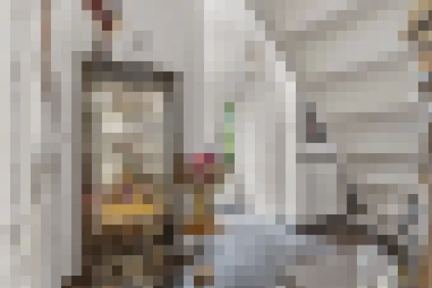 Eerbeekseweg 9 Brummen thumbnail 22