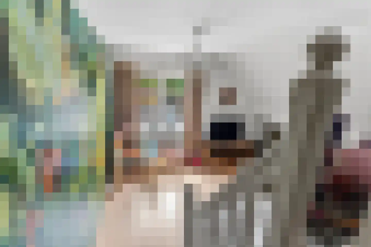 Eerbeekseweg 9 Brummen thumbnail 33