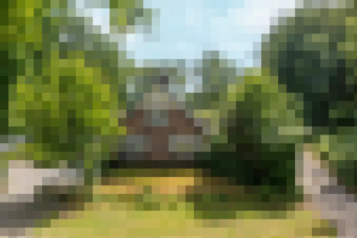 Eerbeekseweg 9 Brummen thumbnail 37
