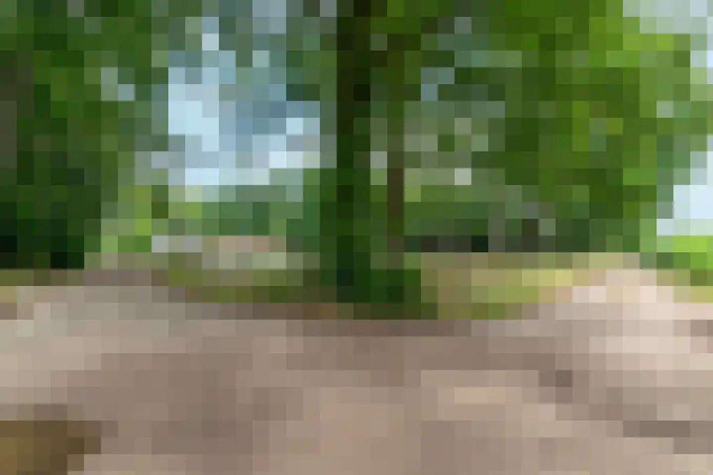 Eerbeekseweg 9 Brummen thumbnail 43