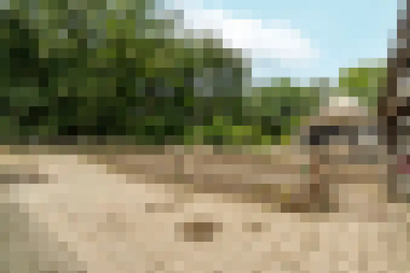 Eerbeekseweg 9 Brummen thumbnail 45
