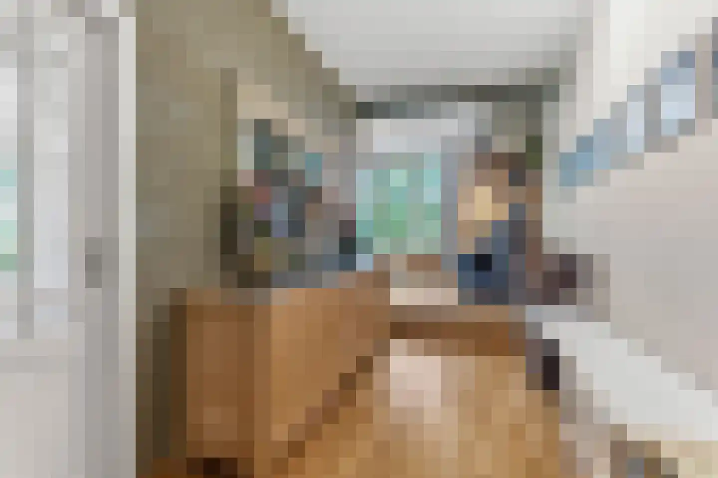Eerbeekseweg 9 Brummen thumbnail 6