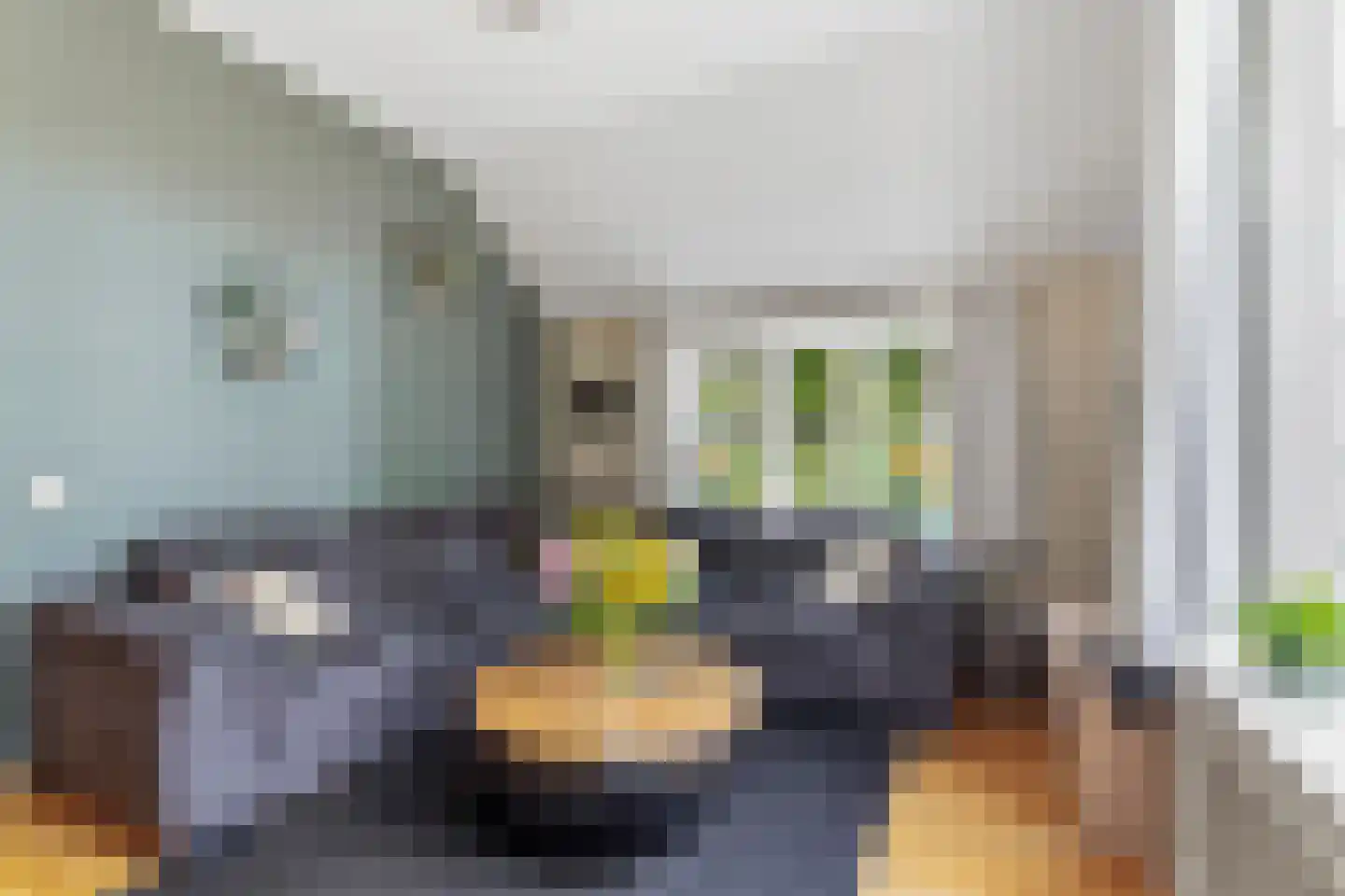 Eerbeekseweg 9 Brummen thumbnail 7