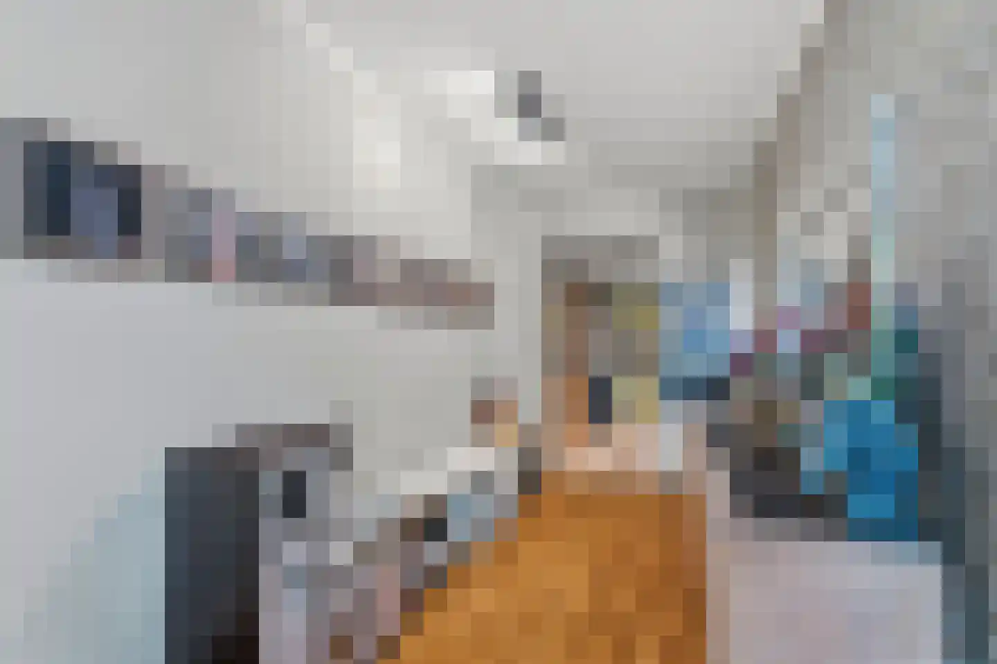 Eerbeekseweg 9 Brummen thumbnail 9