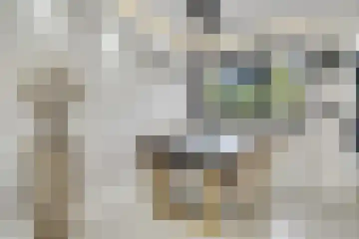 Eerde 1 Almelo thumbnail 14