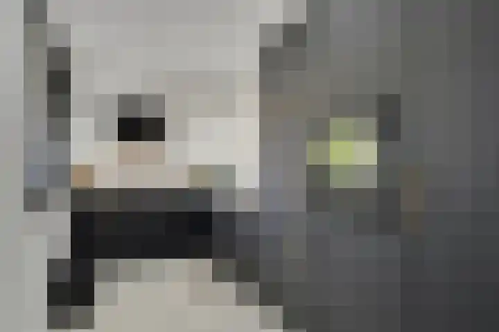 Eerde 1 Almelo thumbnail 15