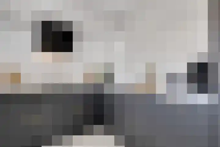 Eerde 1 Almelo thumbnail 16