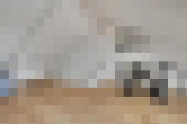 Eerde 1 Almelo thumbnail 27