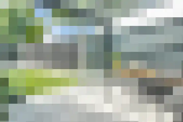 Eerde 1 Almelo thumbnail 29