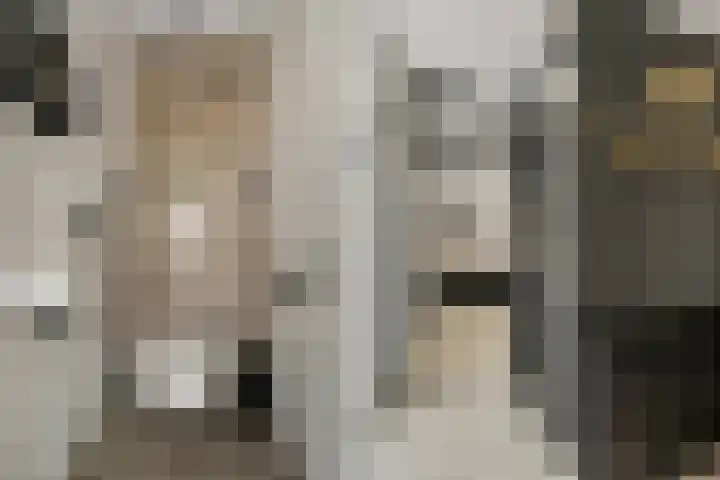 Eerde 1 Almelo thumbnail 7
