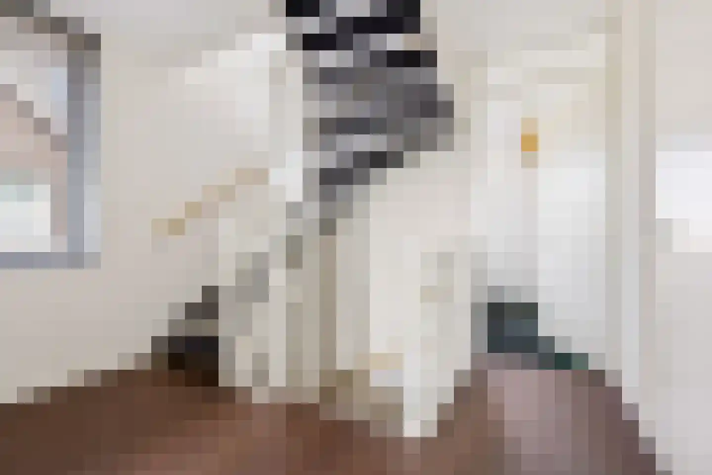 Eerdelaan 17 Zwolle thumbnail 22