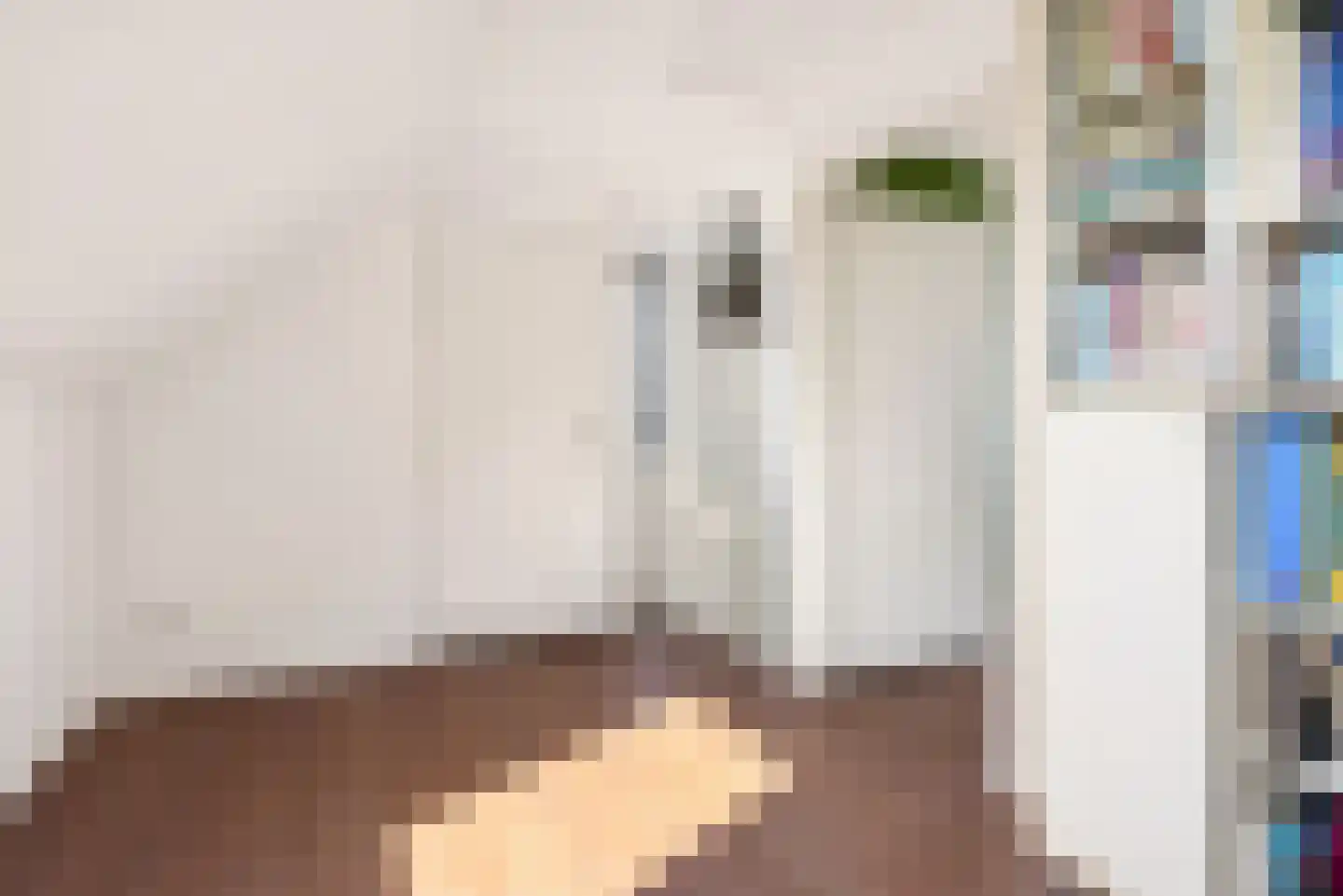 Eerdelaan 17 Zwolle thumbnail 33