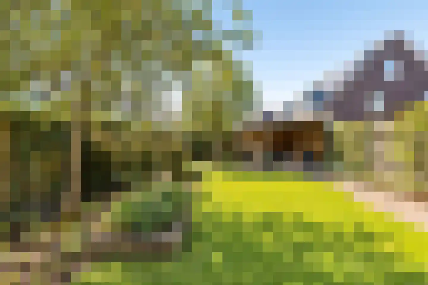 Eerdelaan 17 Zwolle thumbnail 43