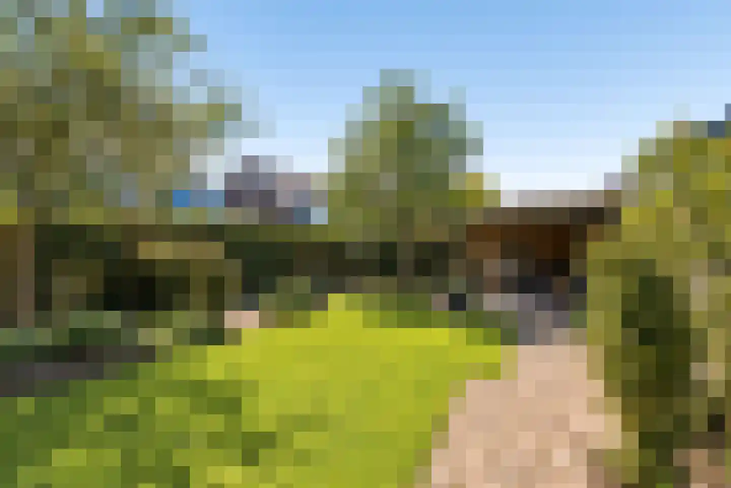 Eerdelaan 17 Zwolle thumbnail 44