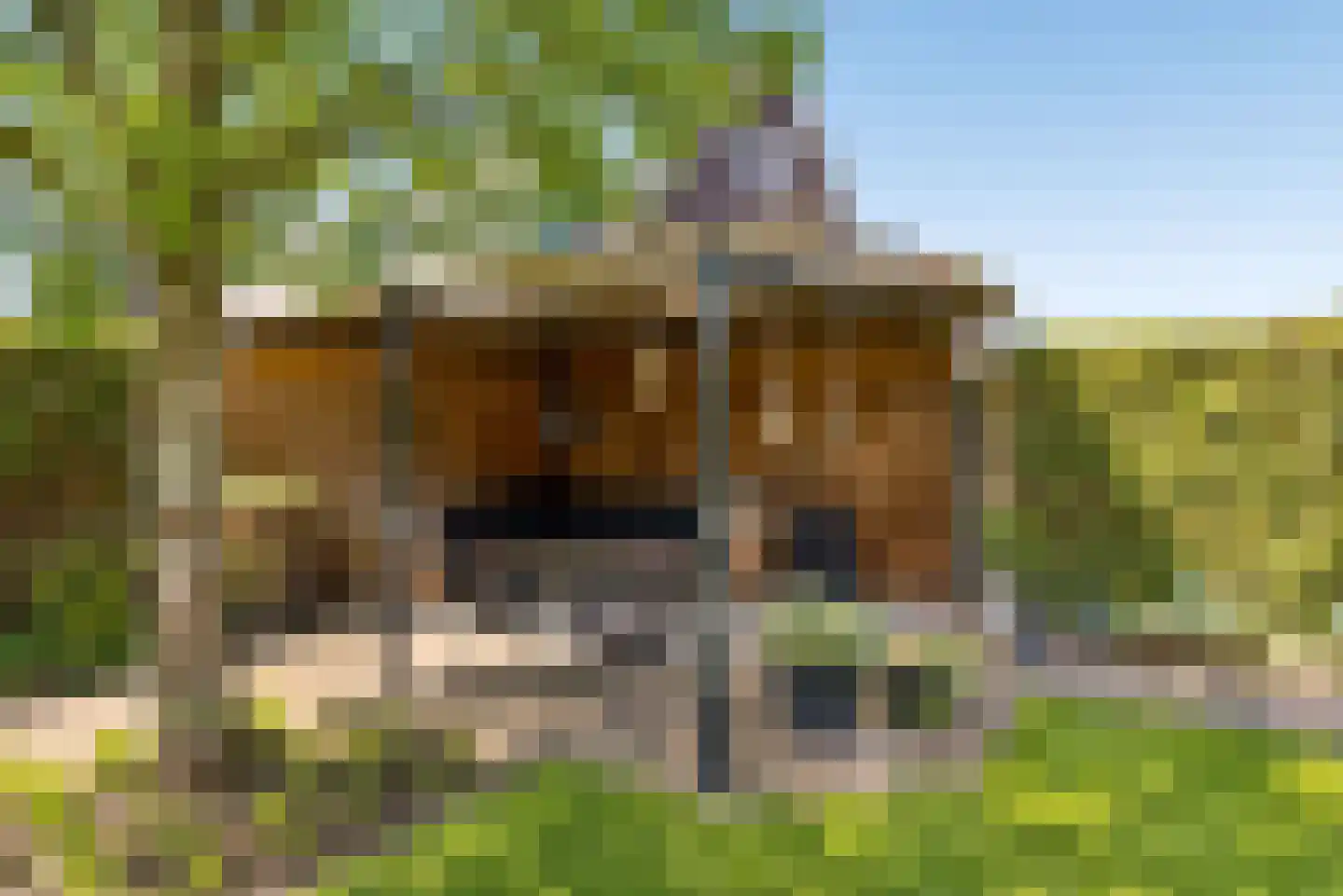 Eerdelaan 17 Zwolle thumbnail 46