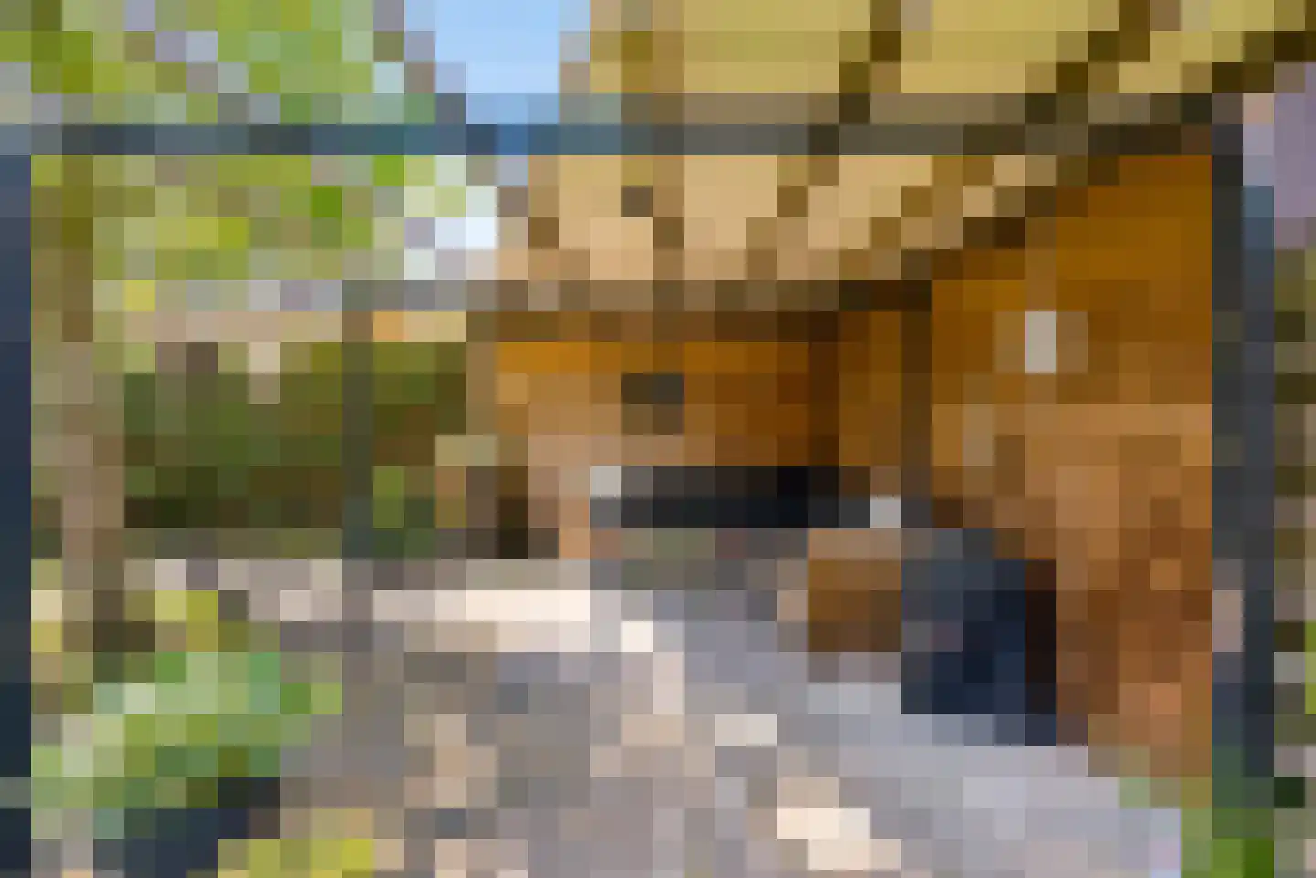 Eerdelaan 17 Zwolle thumbnail 47