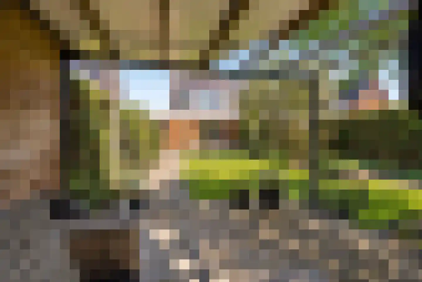 Eerdelaan 17 Zwolle thumbnail 48
