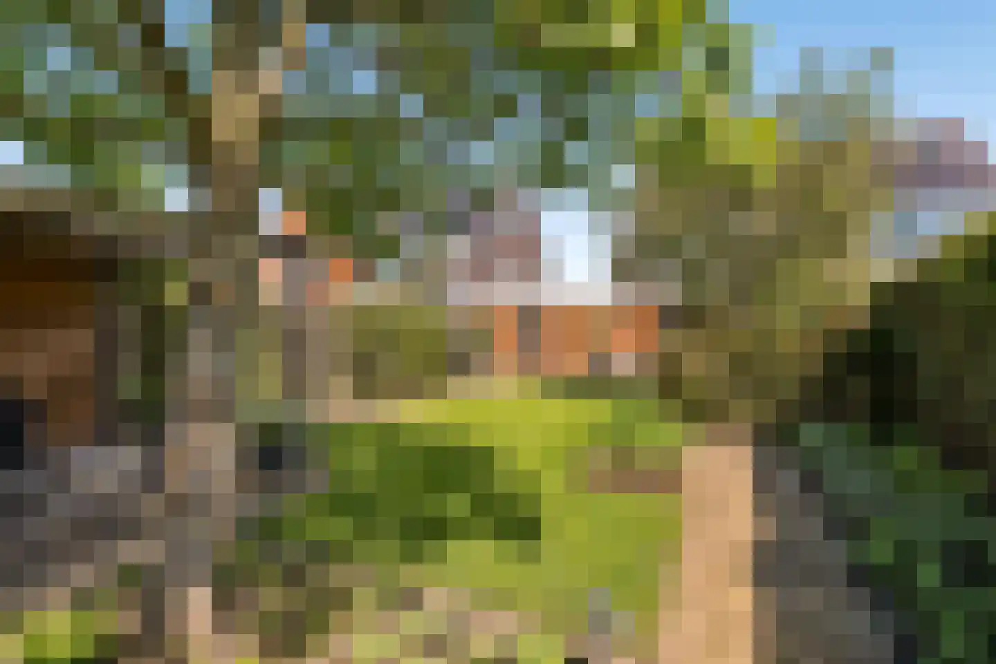Eerdelaan 17 Zwolle thumbnail 49
