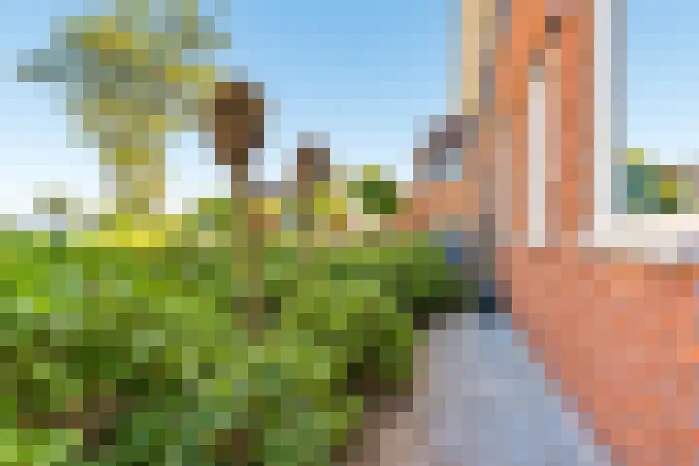 Eerdelaan 17 Zwolle thumbnail 53