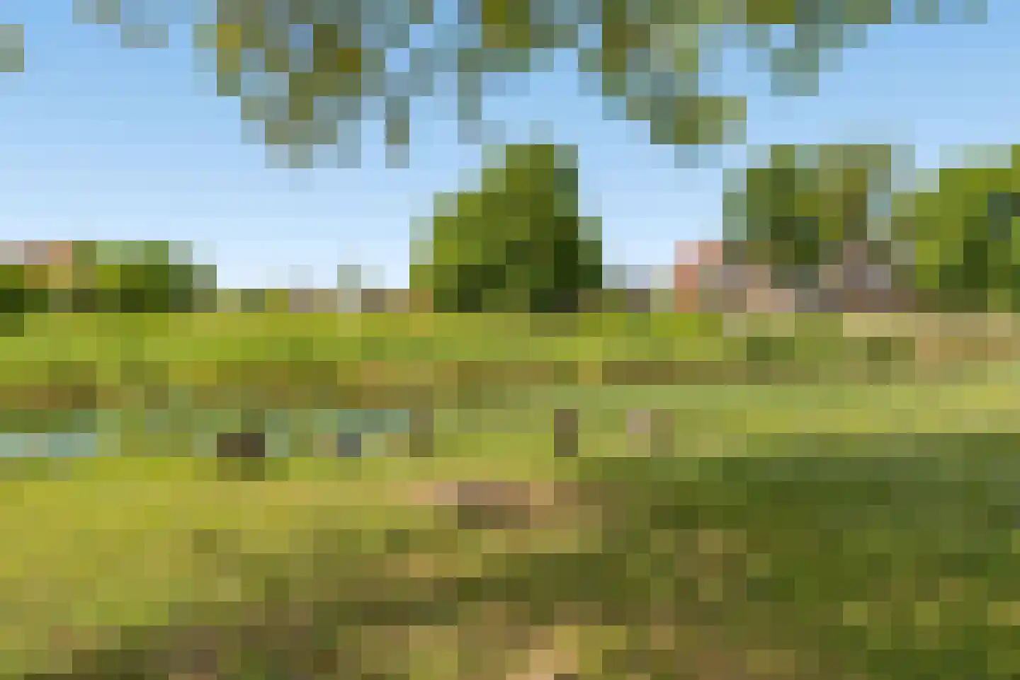 Eerdelaan 17 Zwolle thumbnail 58