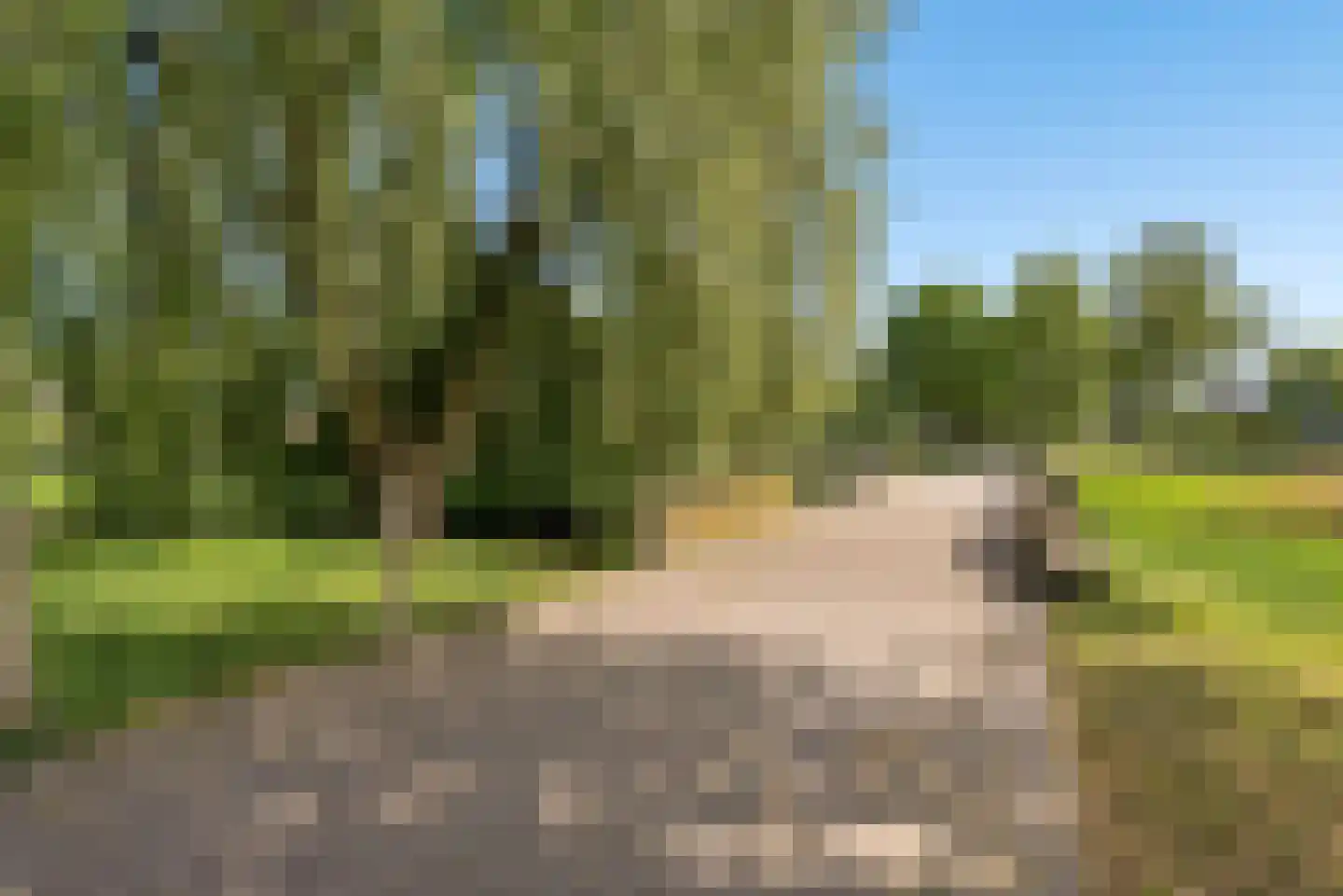 Eerdelaan 17 Zwolle thumbnail 59