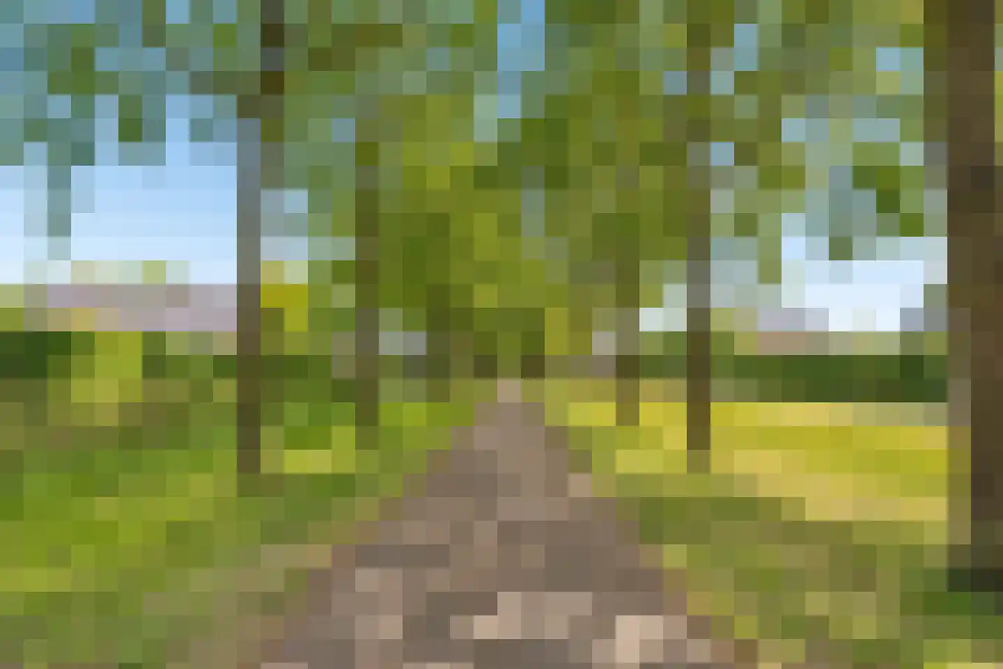 Eerdelaan 17 Zwolle thumbnail 61