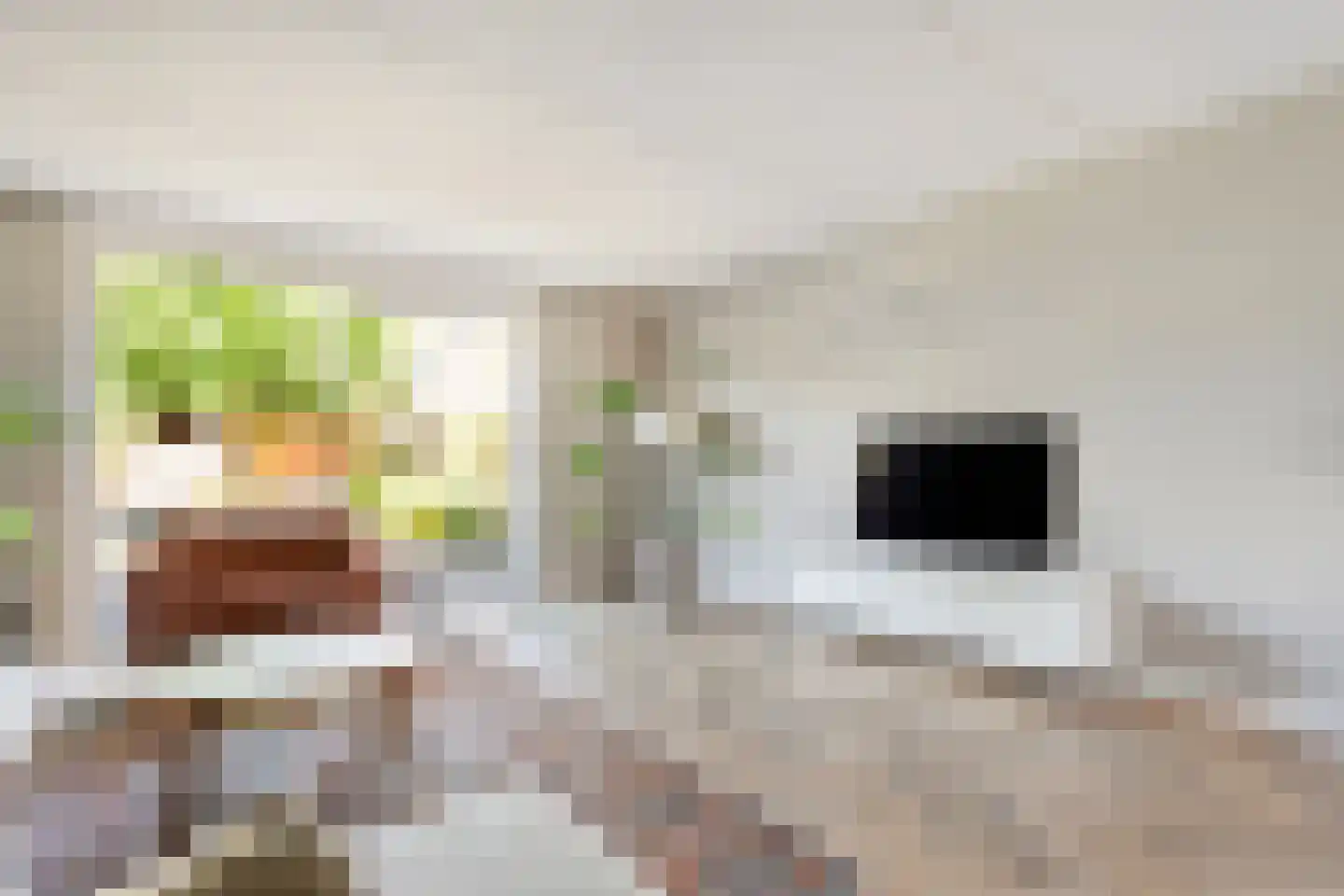Eerdelaan 19 Zwolle thumbnail 14