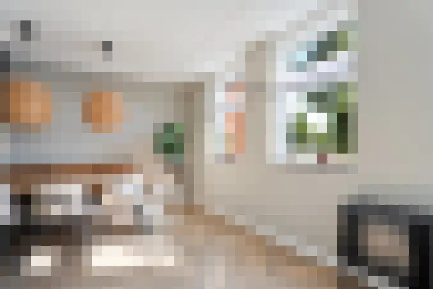 Eerdelaan 19 Zwolle thumbnail 18
