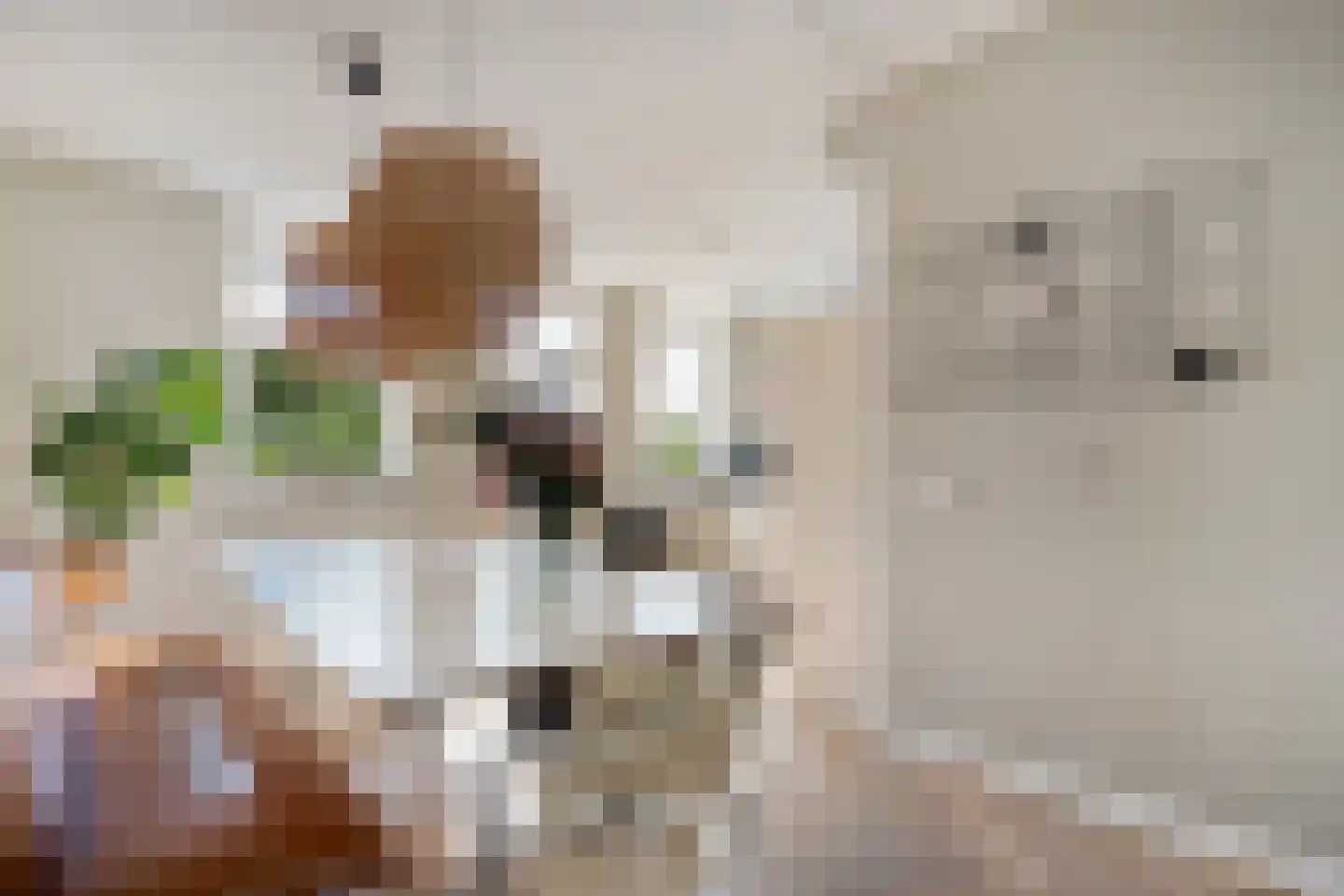 Eerdelaan 19 Zwolle thumbnail 21