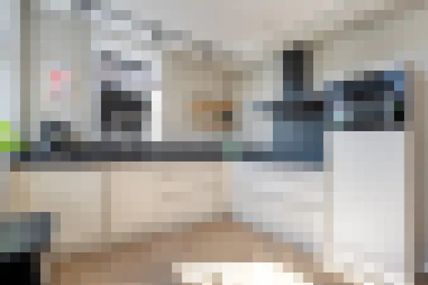 Eerdelaan 19 Zwolle thumbnail 23