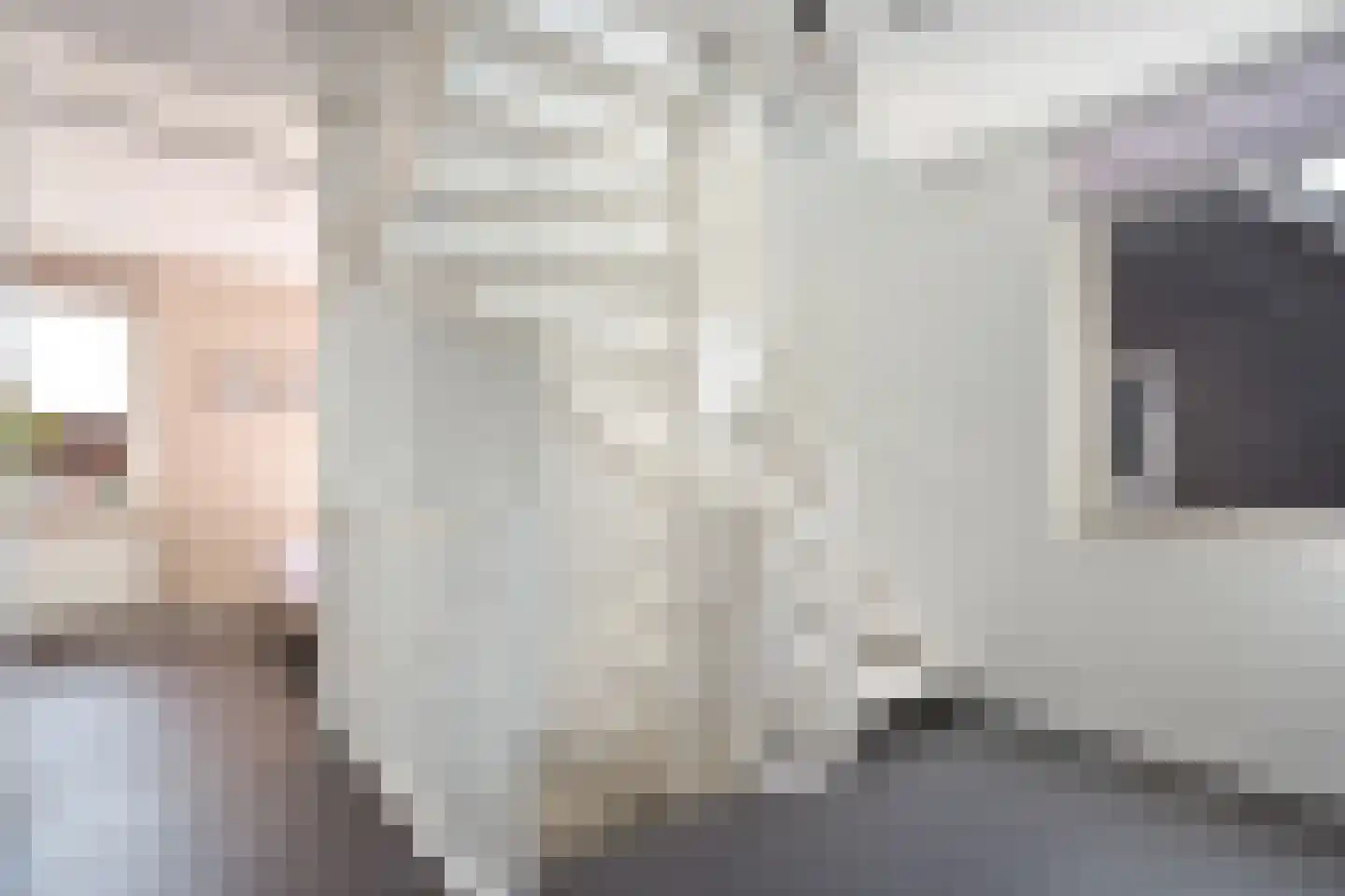 Eerdelaan 19 Zwolle thumbnail 28