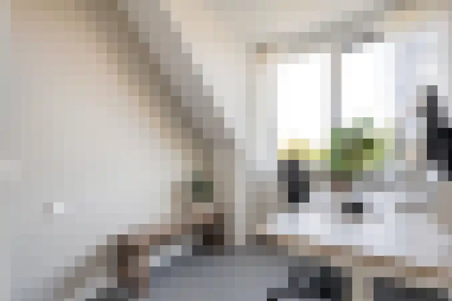 Eerdelaan 19 Zwolle thumbnail 37