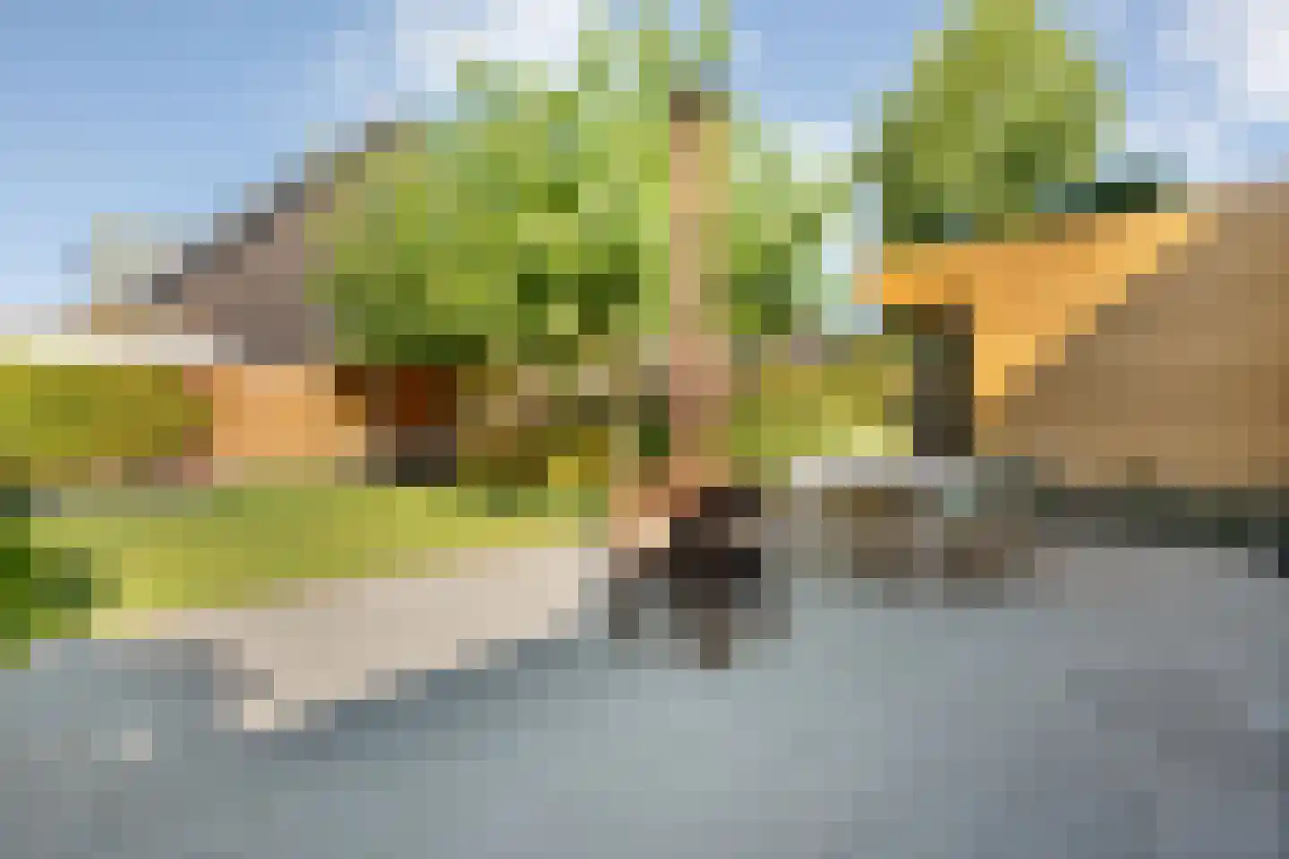 Eerdelaan 19 Zwolle thumbnail 50