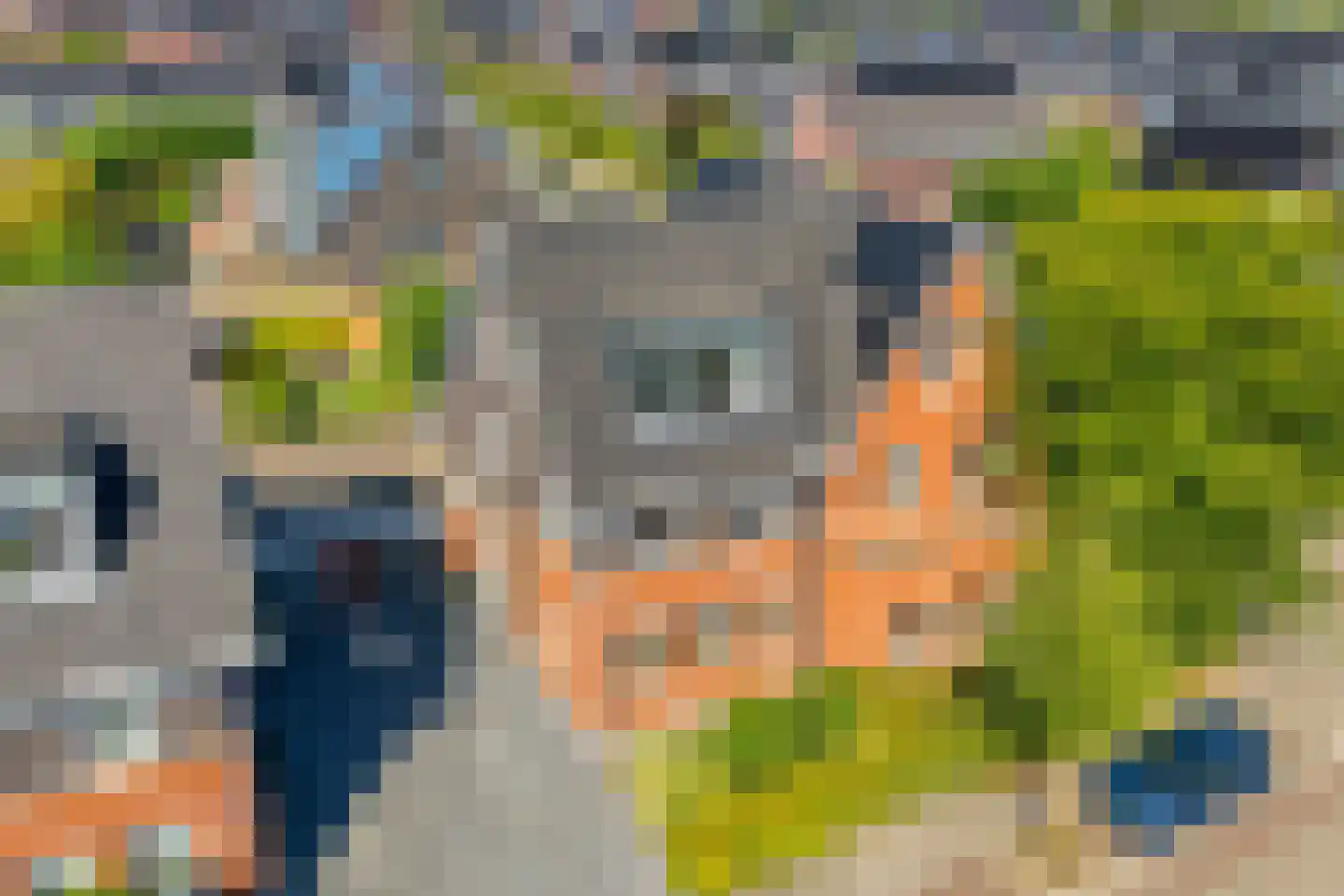 Eerdelaan 19 Zwolle thumbnail 6