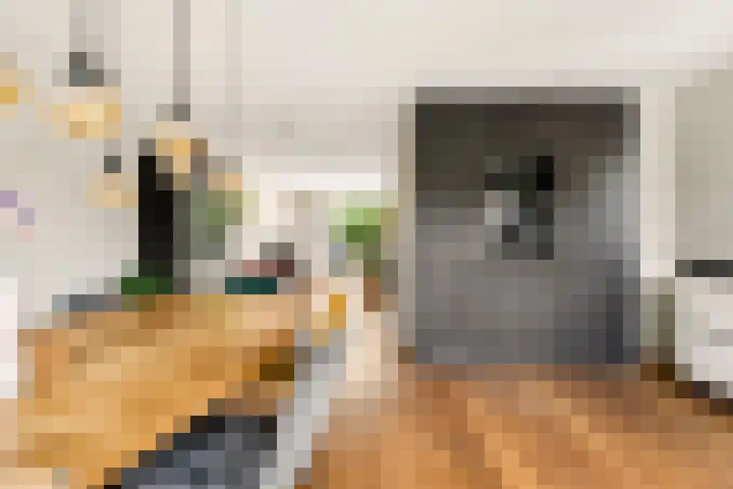Eerdelaan 25 Zwolle thumbnail 14