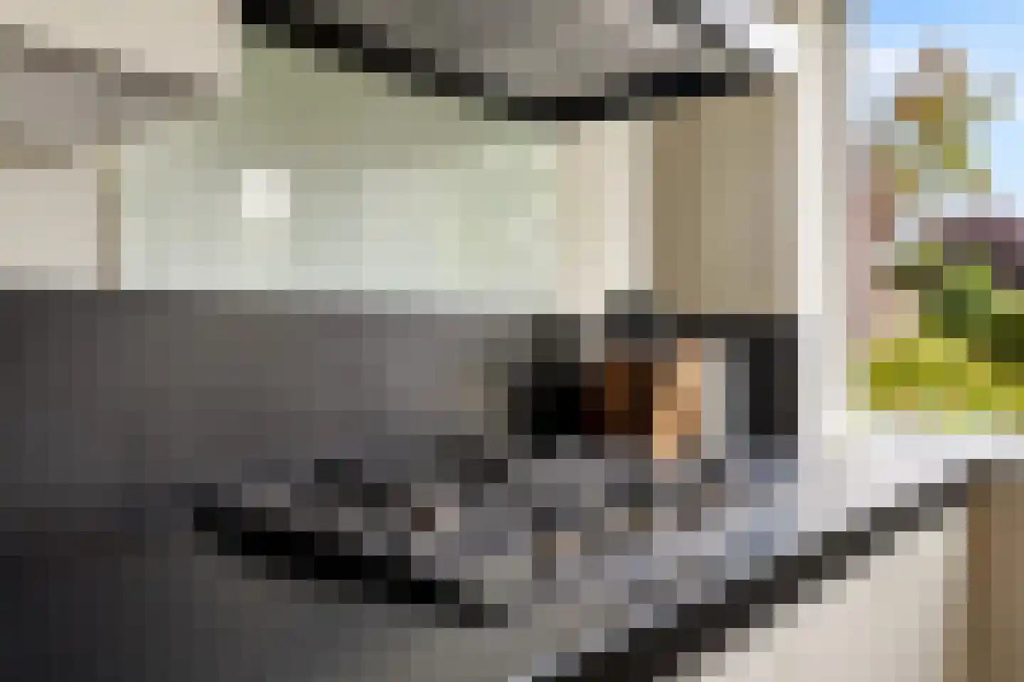 Eerdelaan 25 Zwolle thumbnail 17