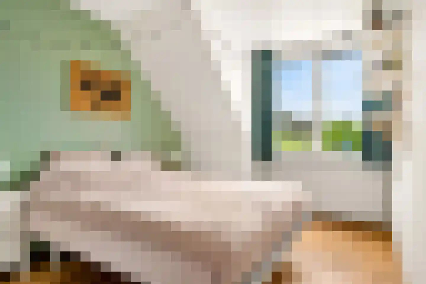 Eerdelaan 25 Zwolle thumbnail 19