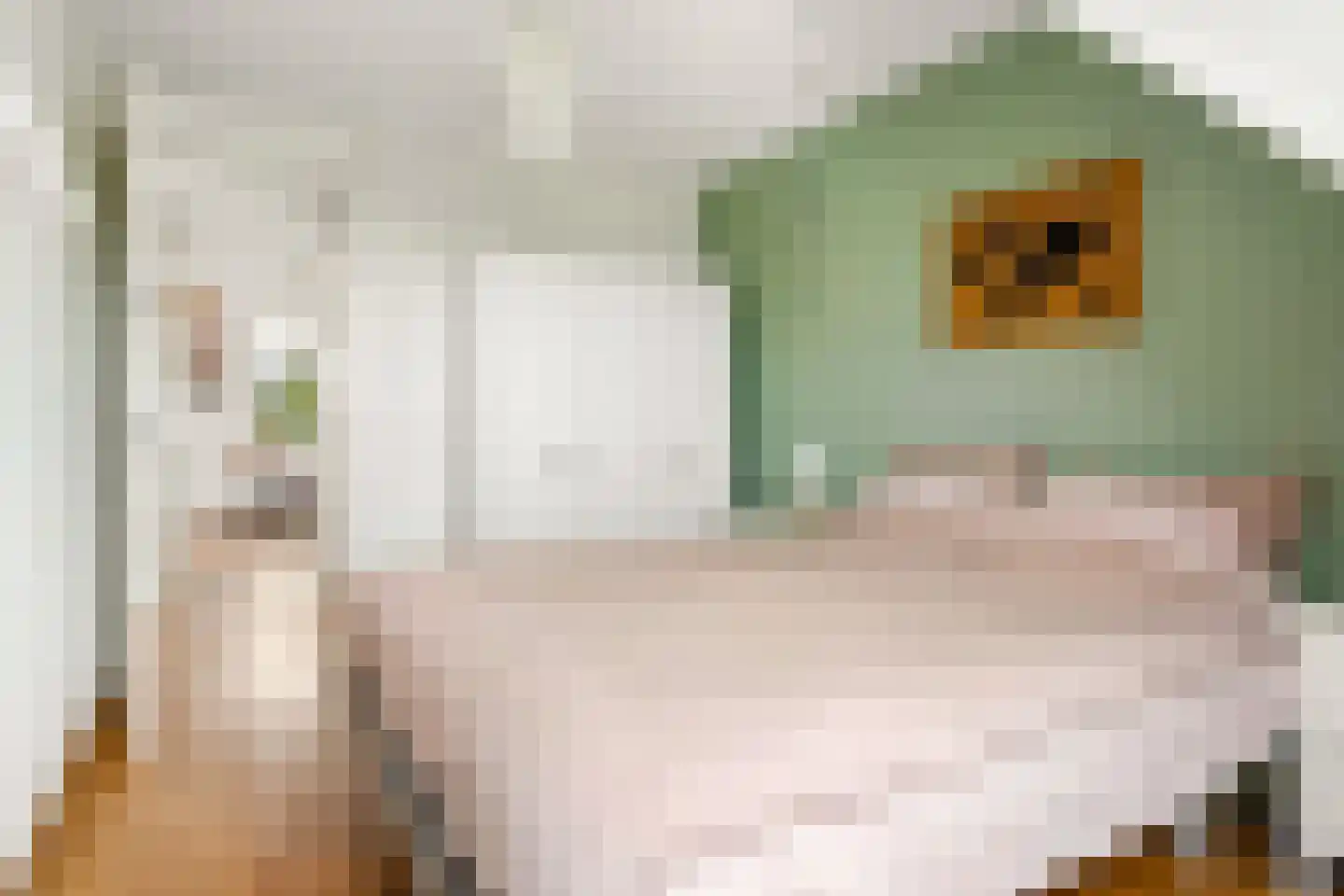 Eerdelaan 25 Zwolle thumbnail 20